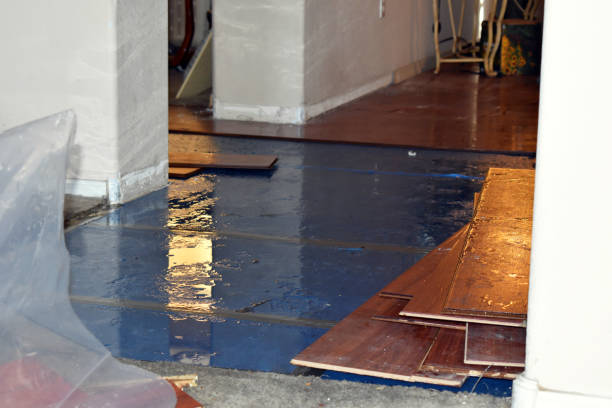 Professional Sewage Cleanup technician working in Bob White, WV